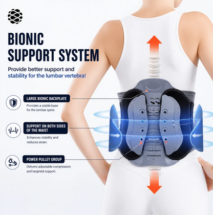 TRUE JOINT™ Adjustable Lumbar Support Back Brace
