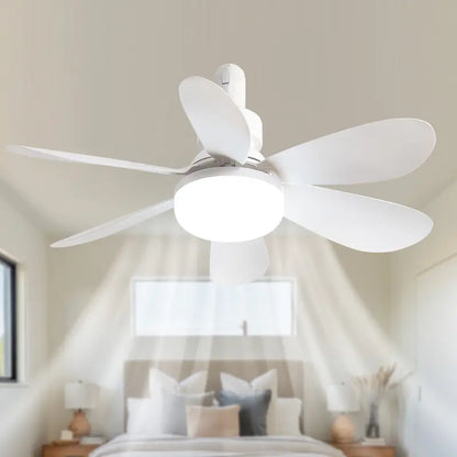 Aobtkel 20" Screw-In Ceiling Fan with Light – Remote Control, Quiet DC Motor, Dimmable LED, 6 Blades, White