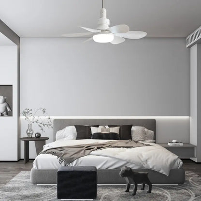 Aobtkel 20" Screw-In Ceiling Fan with Light – Remote Control, Quiet DC Motor, Dimmable LED, 6 Blades, White