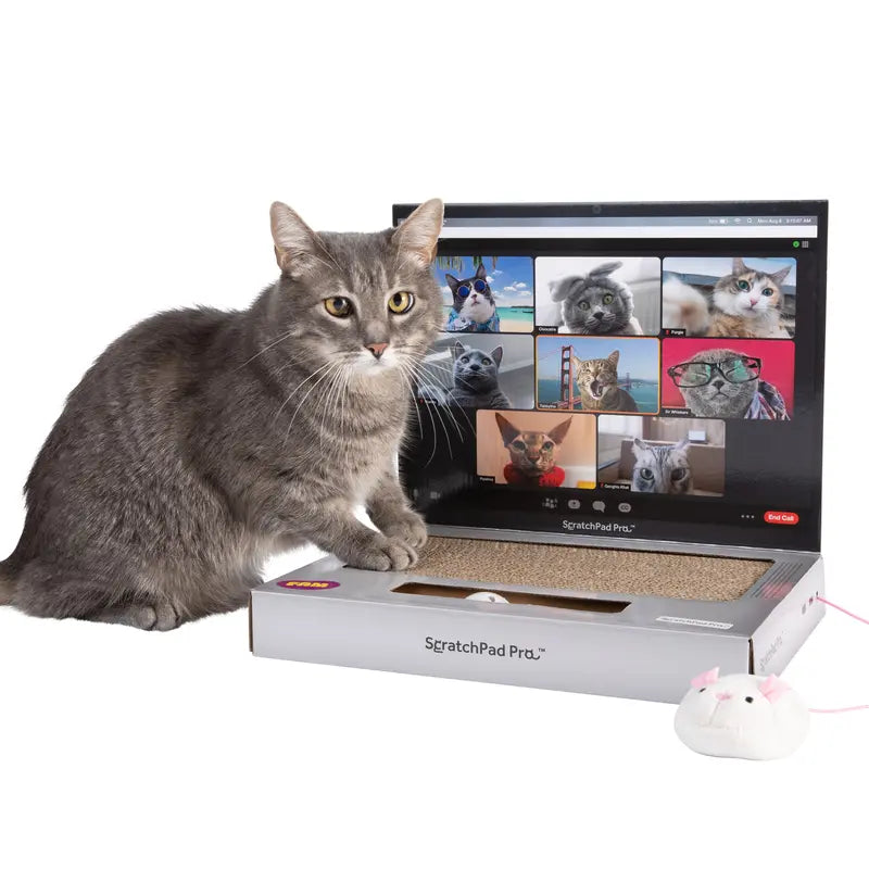 ScratchPad Pro Cardboard Laptop Cat Scratcher | Funny & Functional Cat Toy for Indoor Cats
